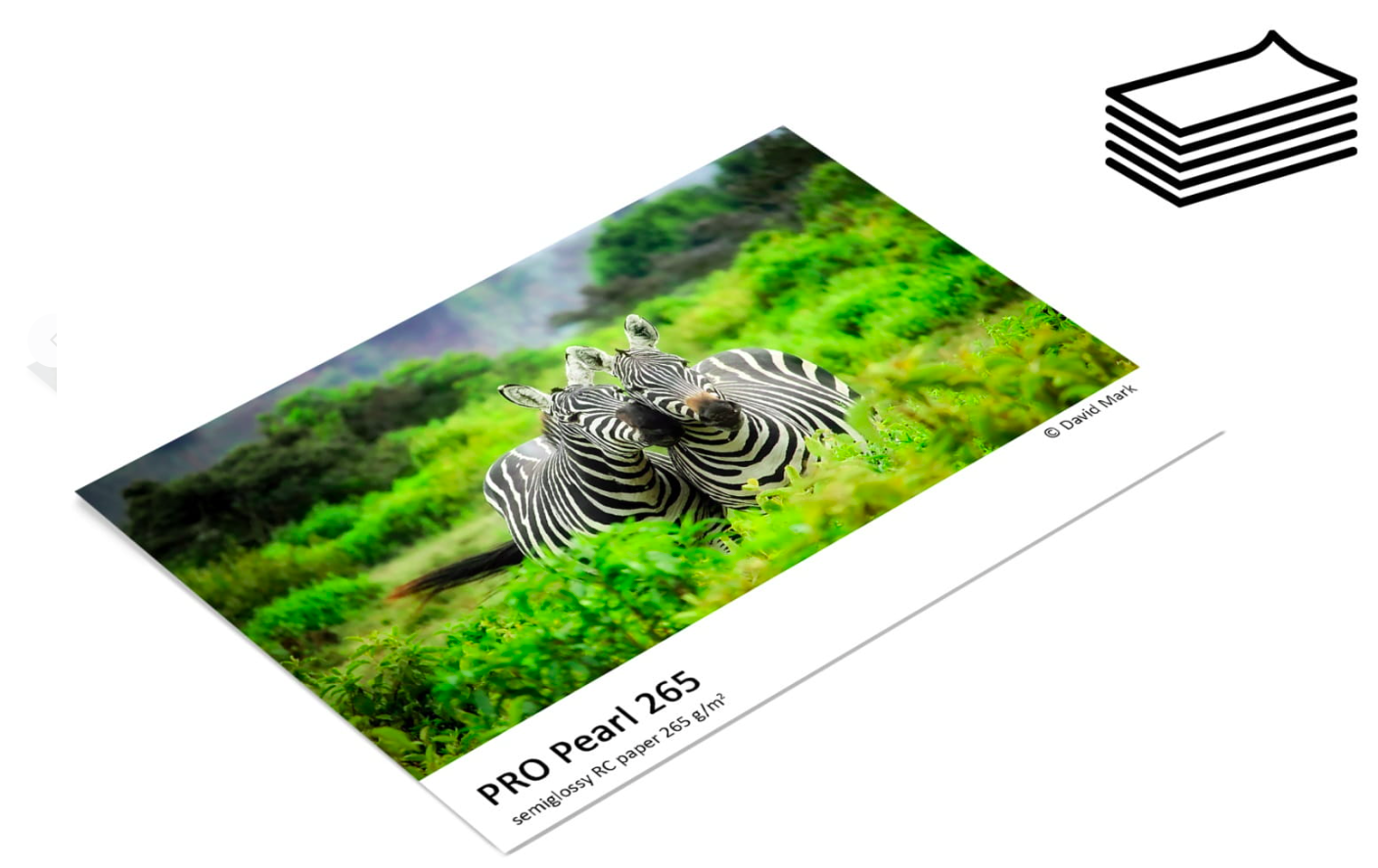 papier do druku zdjęć FOMEI Pro Pearl 265